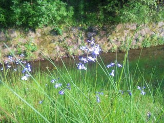 100503_154948.jpg