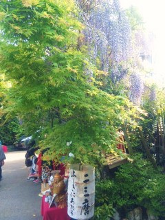 100503_155931.jpg