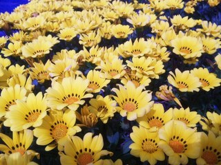 100509_143404.jpg