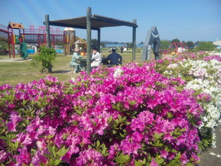 100516_085440.jpg