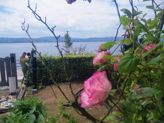 100530_103552.jpg