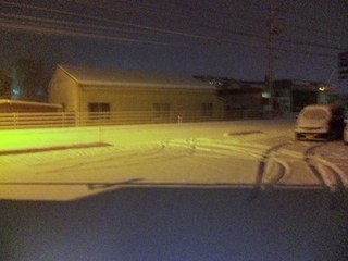 110131_050203.jpg