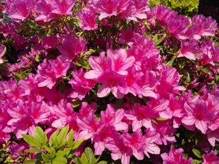 110514_105402.jpg