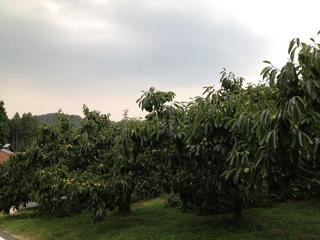 201209142.jpg