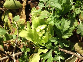 201303061.jpg