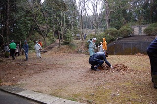 201303113.jpg