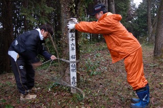 201303115.jpg