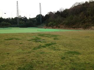 201304151.jpg