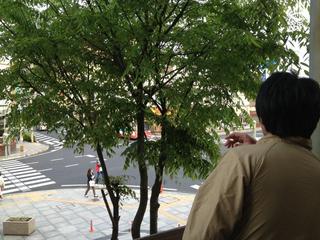 201304294.jpg