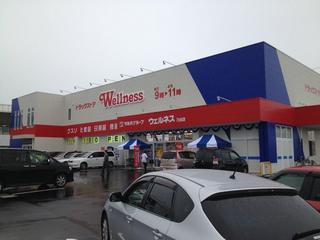 201310062.jpg