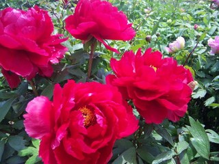 110504_115109.jpg